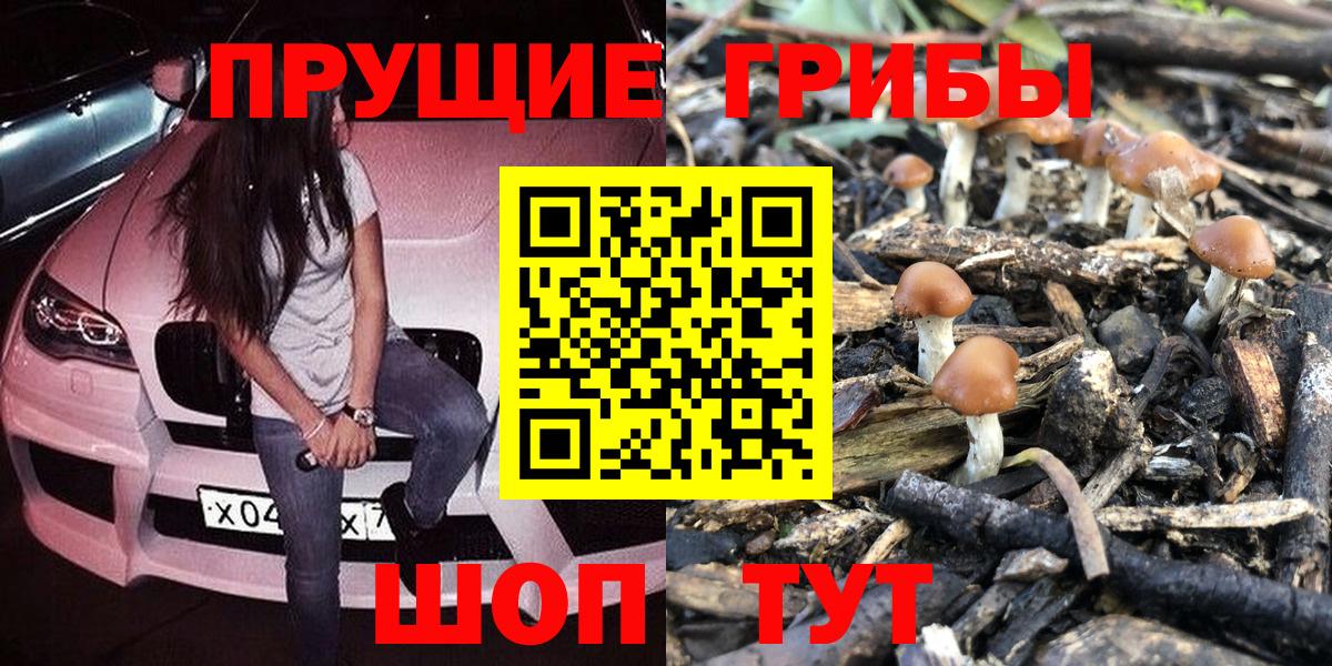Псилоцибиновые грибы прущие грибы  Галлюциногенные грибы Psilocybe  Вход с VPN  Нальчик 