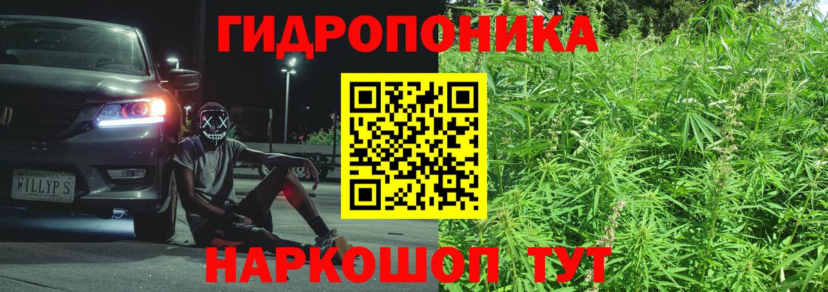 Бошки марихуана планчик Нальчик